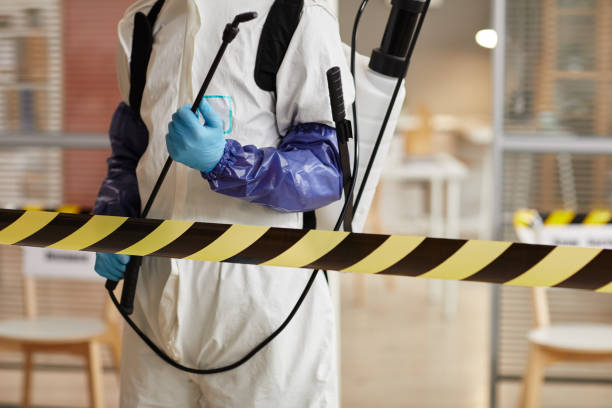 Professional Sewage Cleanup technician working in Gibbon, NE